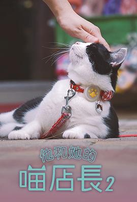 他和她的喵店长2粤语 第11集