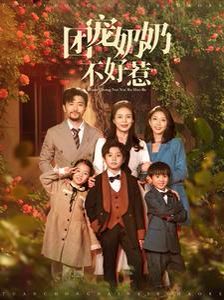 团宠奶奶不好惹 第41-60集