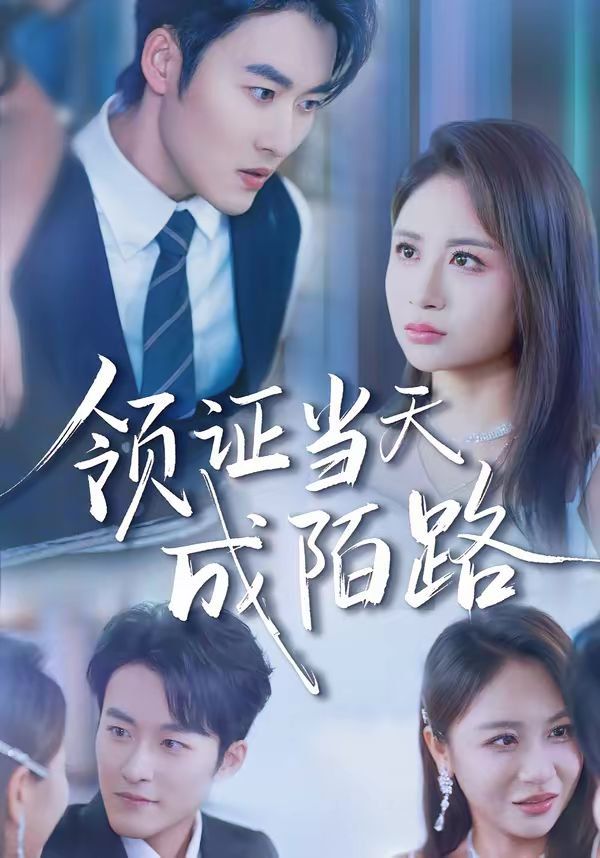 领证当天成陌路(全集)